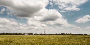 Iowa farm fields